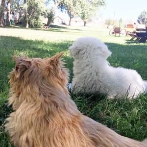 Meet your Posher, Emmy brandon